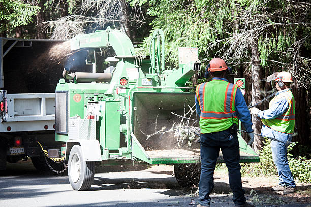 Soil Testing and Treatment in Pelham, GA
